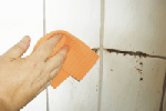 Eco-Cleaning Sevices